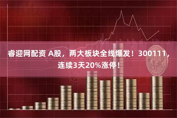 睿迎网配资 A股，两大板块全线爆发！300111，连续3天20%涨停！