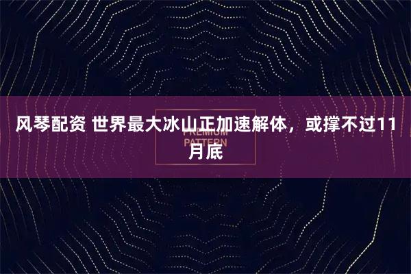风琴配资 世界最大冰山正加速解体，或撑不过11月底
