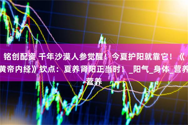 铭创配资 千年沙漠人参觉醒！今夏护阳就靠它！《黄帝内经》钦点：夏养肾阳正当时！_阳气_身体_营养