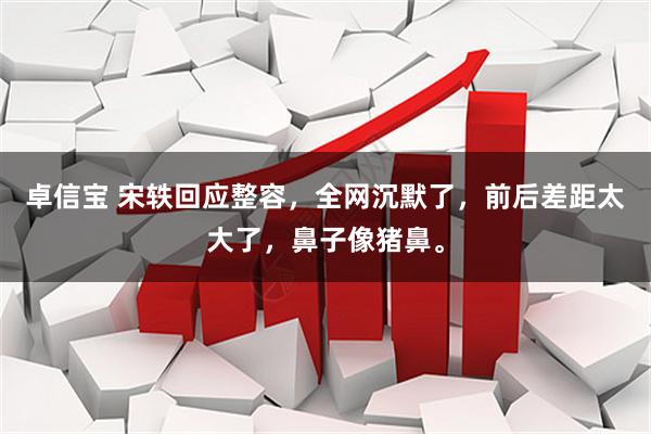 卓信宝 宋轶回应整容，全网沉默了，前后差距太大了，鼻子像猪鼻。