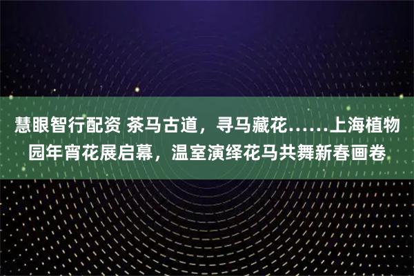 慧眼智行配资 茶马古道，寻马藏花……上海植物园年宵花展启幕，温室演绎花马共舞新春画卷